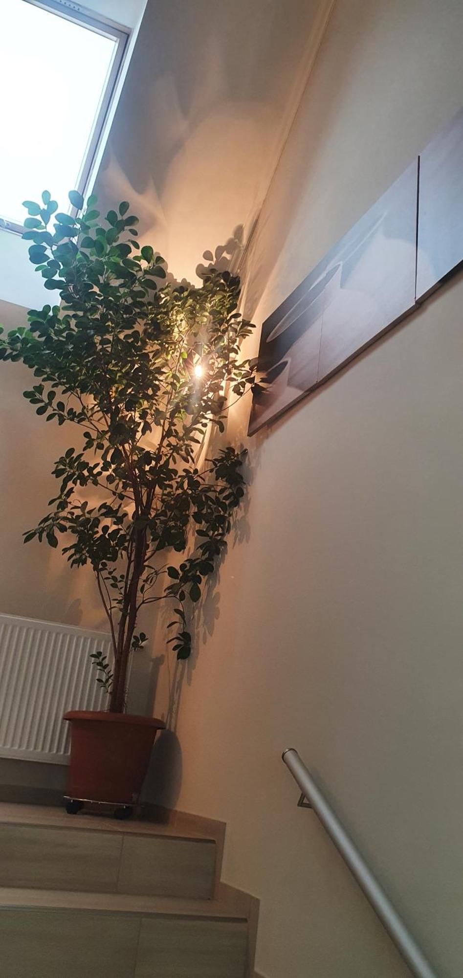 Appartement Boldizsar Lovas Haz Cserepfalu